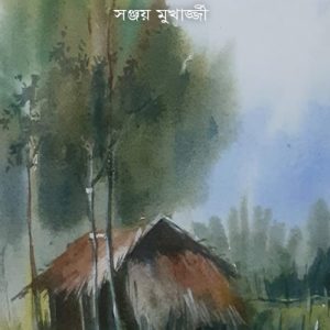অপরাজিতার আকাশ